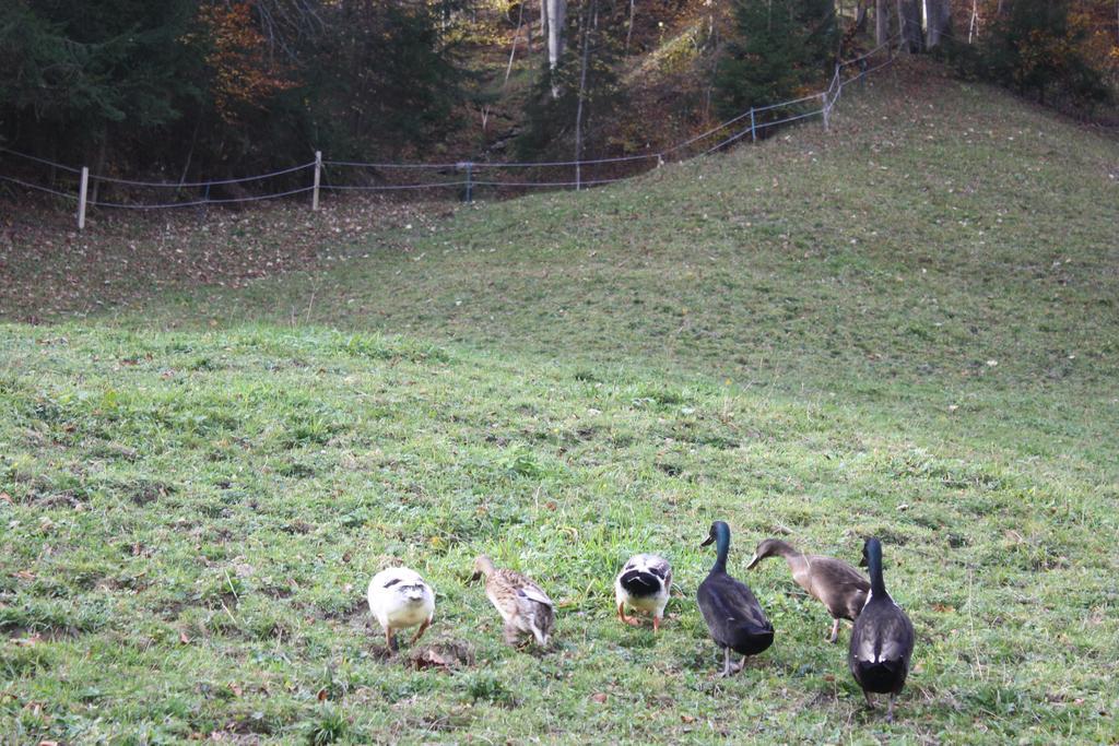 Alpenferienwohnungen Wiesenlehen Berchtesgaden Buitenkant foto