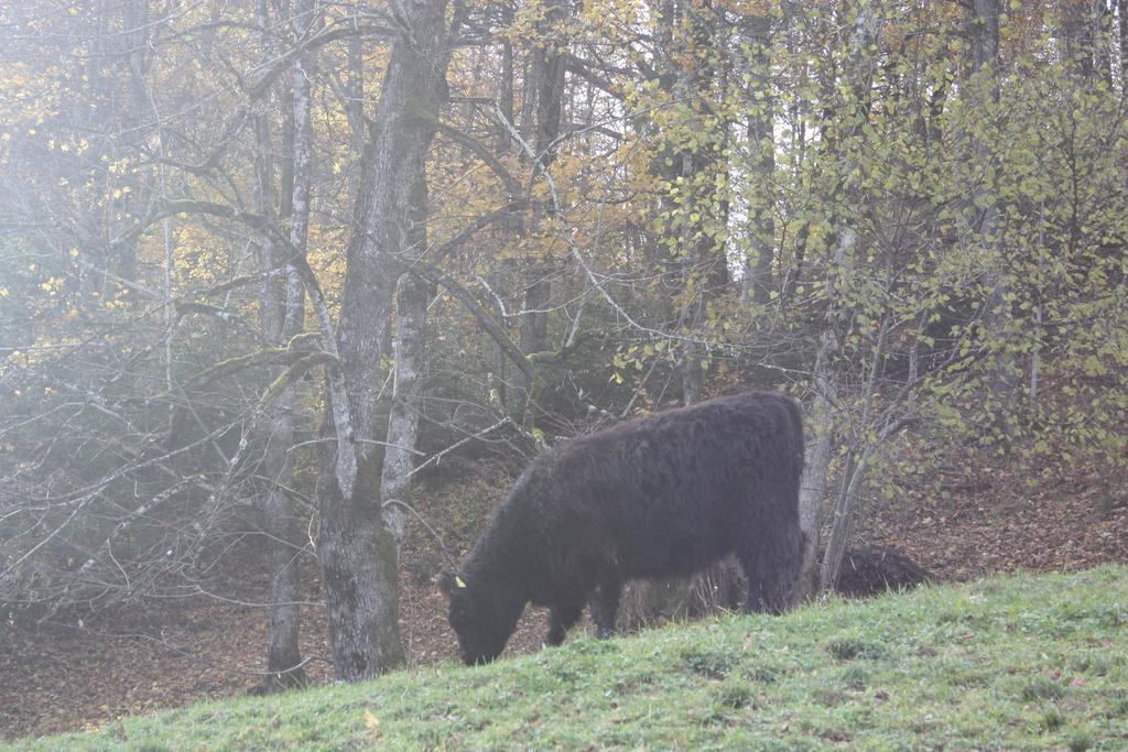 Alpenferienwohnungen Wiesenlehen Berchtesgaden Buitenkant foto